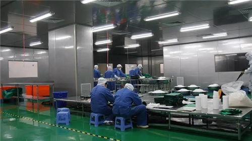食品工廠自動化的設計與自動化設備安裝全流程解析